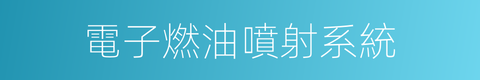 電子燃油噴射系統的同義詞