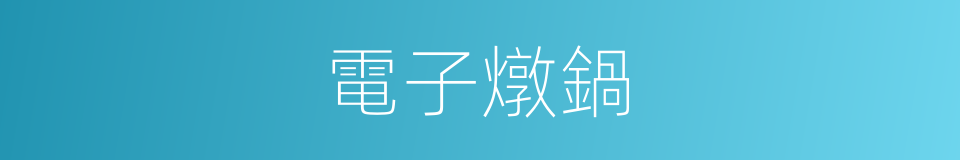 電子燉鍋的同義詞