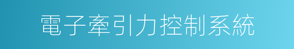 電子牽引力控制系統的同義詞