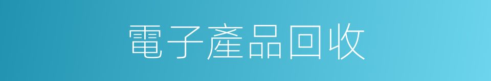 電子產品回收的同義詞