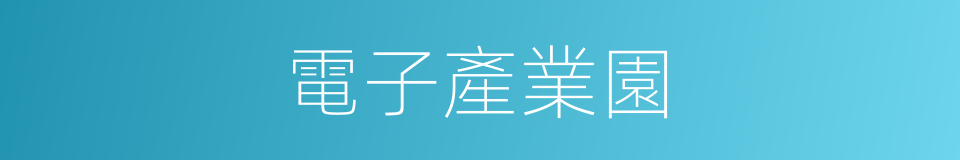 電子產業園的同義詞