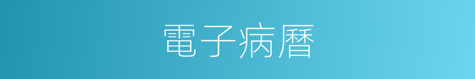 電子病曆的同義詞