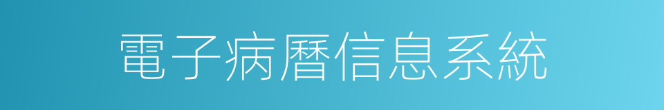 電子病曆信息系統的同義詞