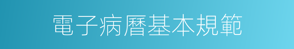 電子病曆基本規範的同義詞