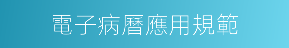 電子病曆應用規範的同義詞