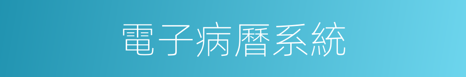 電子病曆系統的同義詞