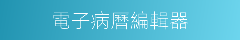 電子病曆編輯器的同義詞