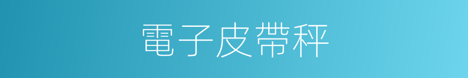 電子皮帶秤的同義詞