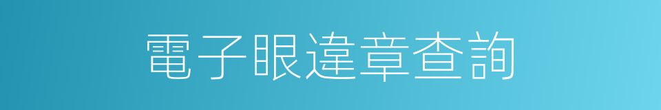 電子眼違章查詢的同義詞