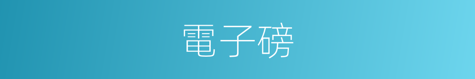 電子磅的同義詞