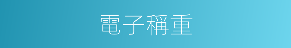 電子稱重的同義詞