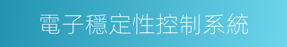 電子穩定性控制系統的同義詞