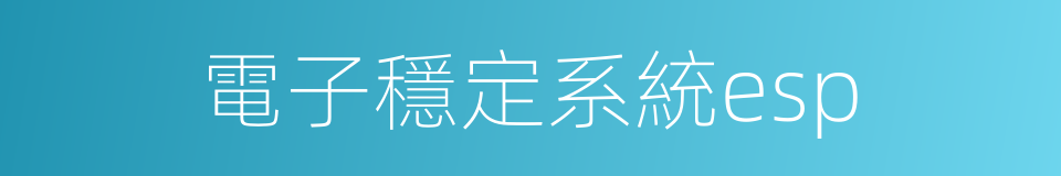 電子穩定系統esp的同義詞