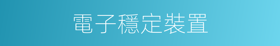 電子穩定裝置的同義詞