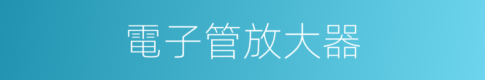 電子管放大器的同義詞