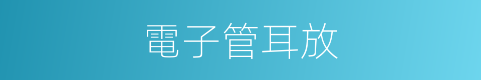 電子管耳放的同義詞