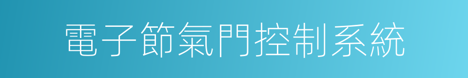 電子節氣門控制系統的同義詞