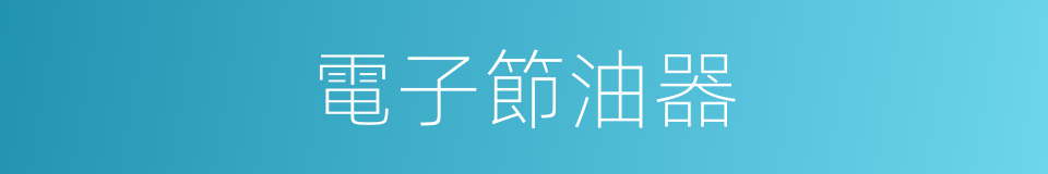 電子節油器的同義詞