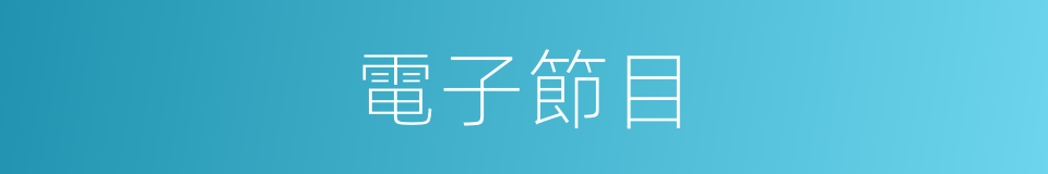 電子節目的同義詞