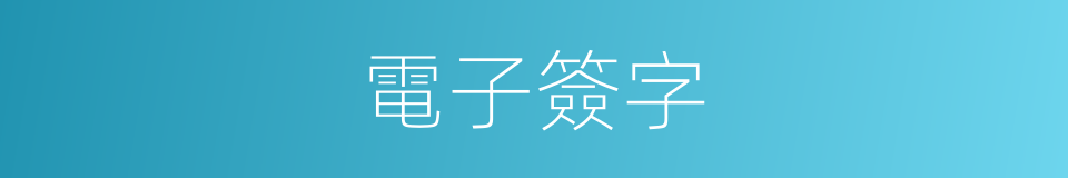 電子簽字的同義詞