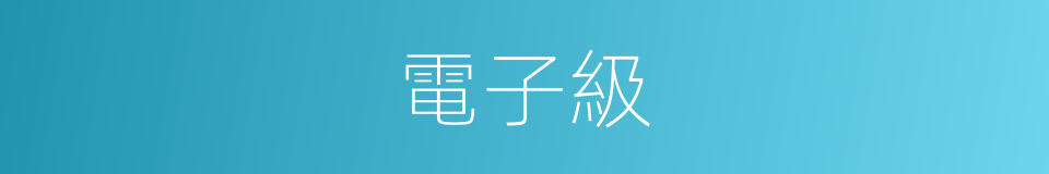 電子級的同義詞