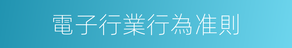 電子行業行為准則的同義詞