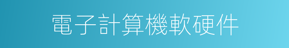電子計算機軟硬件的同義詞