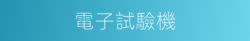 電子試驗機的同義詞