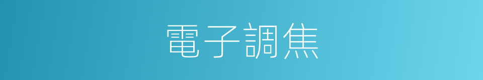 電子調焦的同義詞