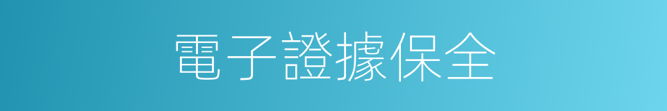 電子證據保全的同義詞