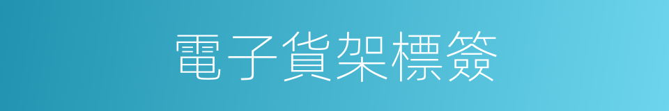 電子貨架標簽的同義詞