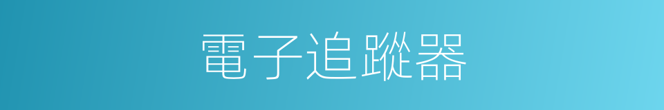 電子追蹤器的同義詞