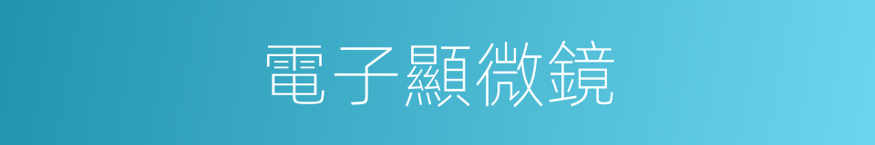 電子顯微鏡的意思