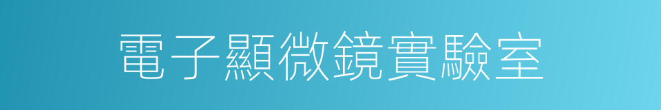 電子顯微鏡實驗室的同義詞