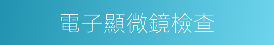電子顯微鏡檢查的同義詞