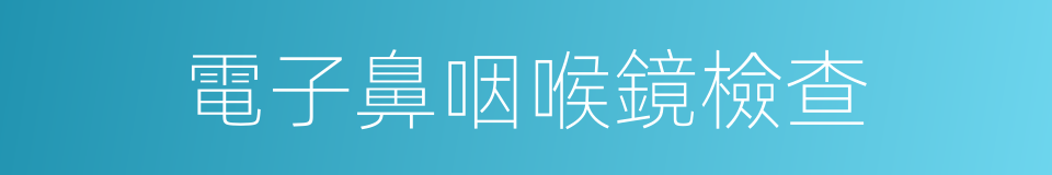 電子鼻咽喉鏡檢查的同義詞
