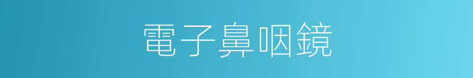 電子鼻咽鏡的同義詞