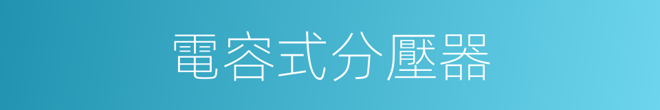 電容式分壓器的同義詞