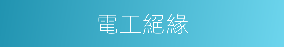 電工絕緣的同義詞