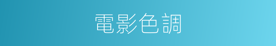 電影色調的同義詞