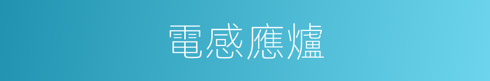 電感應爐的同義詞