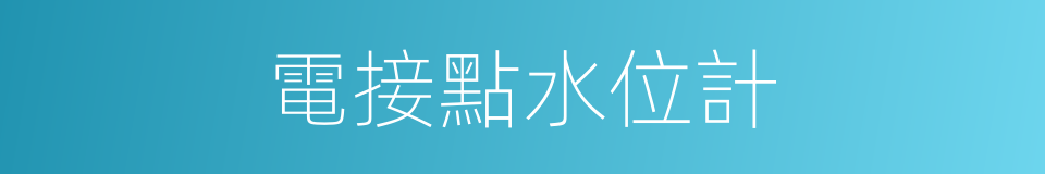 電接點水位計的同義詞