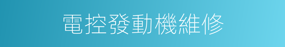 電控發動機維修的同義詞