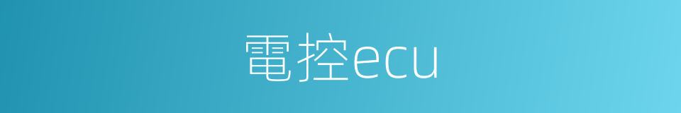 電控ecu的同義詞