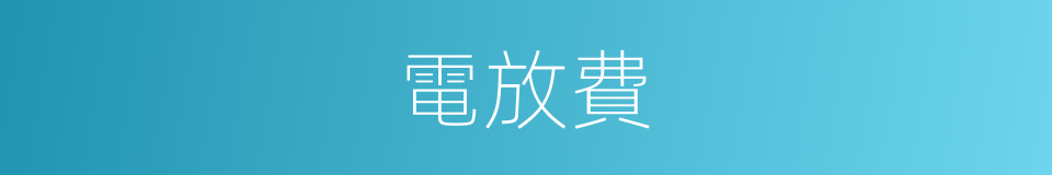 電放費的同義詞