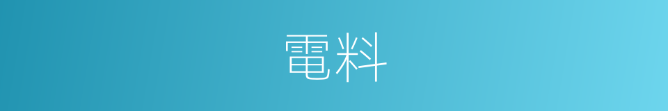 電料的意思