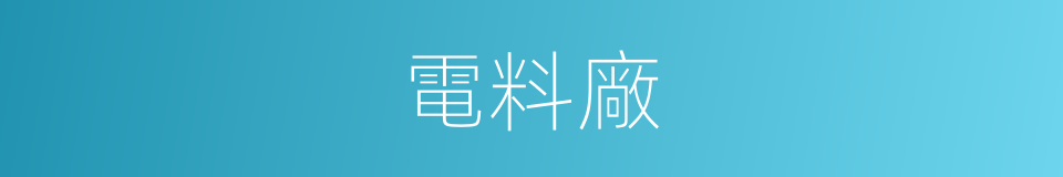 電料廠的同義詞