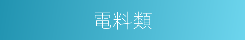 電料類的同義詞