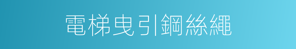 電梯曳引鋼絲繩的同義詞