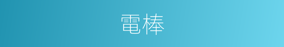 電棒的意思